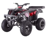 ADULT ATVs