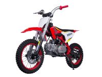 PIT BIKES / DIRT BIKES